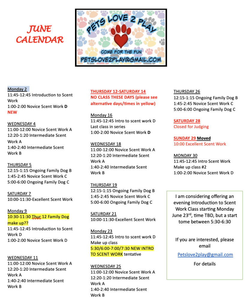 JUNE PRINTABLE CALENDAR